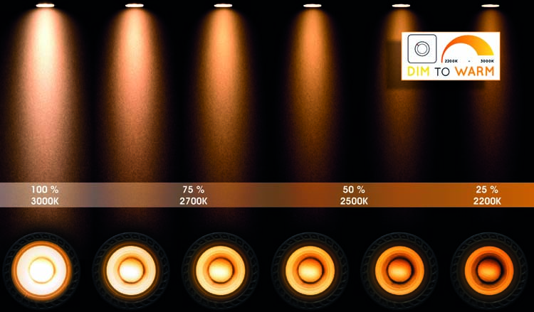 TURNON Spot Plafond  3xGU10/5W Noir / Or