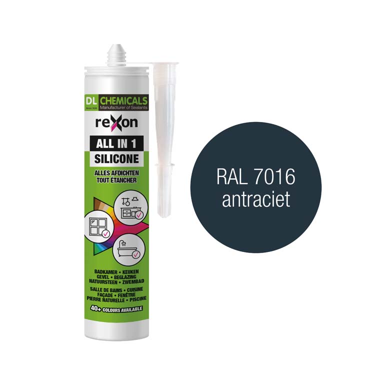 All-in 1 silicone 290ml RAL7016 anthracite résistant à l'eau