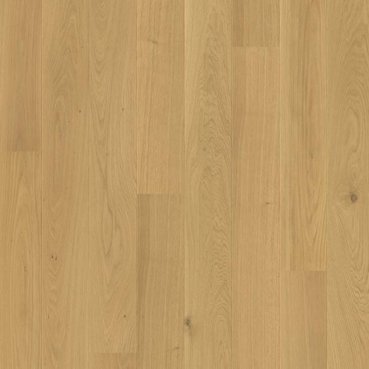 Échantillon Quick-Step parquet compact Chêne cuir extra mat