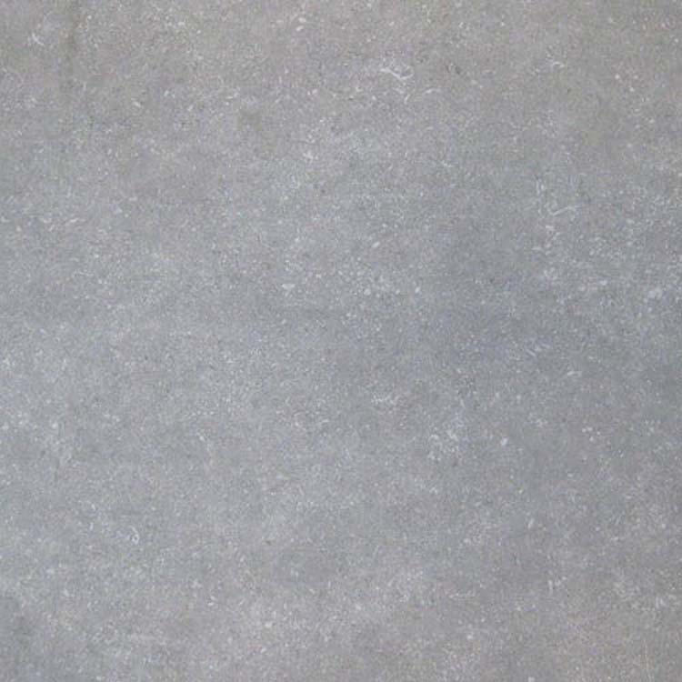 Terrastegel Hainaut grijs rt 80 x 80 x 2 cm