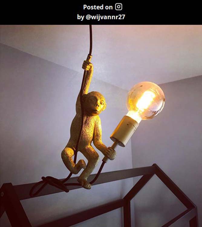 CHIMP Hanglamp E27/60W Zwart / Goud