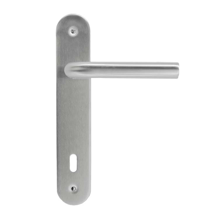 Poignée de porte lucera 19mm inox plus plaque