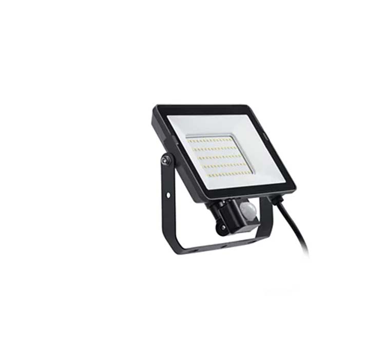 Spot LED extérieur projectline noir 30 W 4000K + capteur