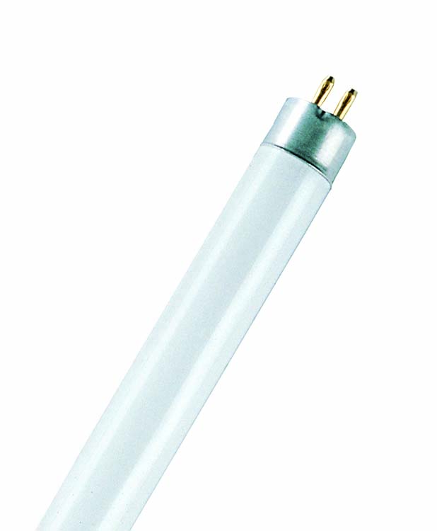 TL Lamp T5 13W 517mm Koud Wit