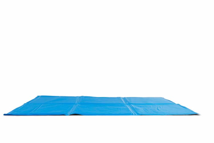 Tapis de refroidissement animaux domestiques 40x50 cm