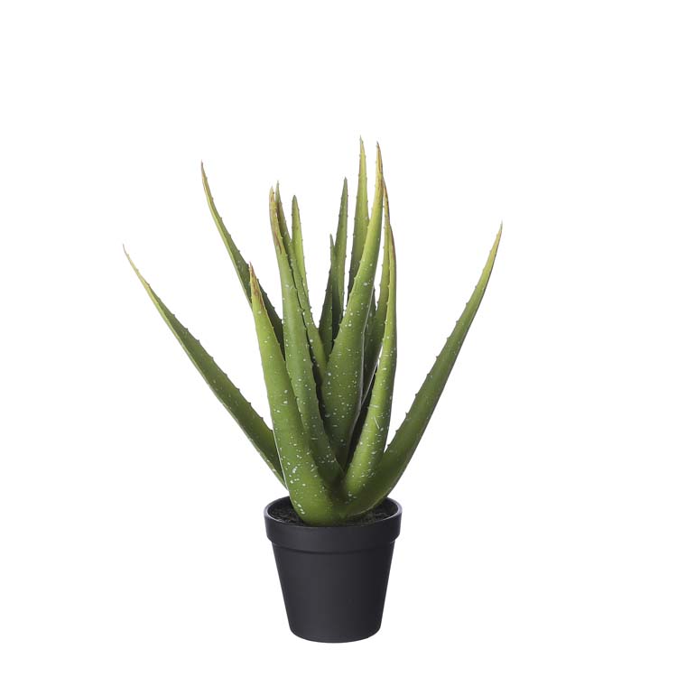 Plant artificielle aloe vera verte D35 cm H19 cm