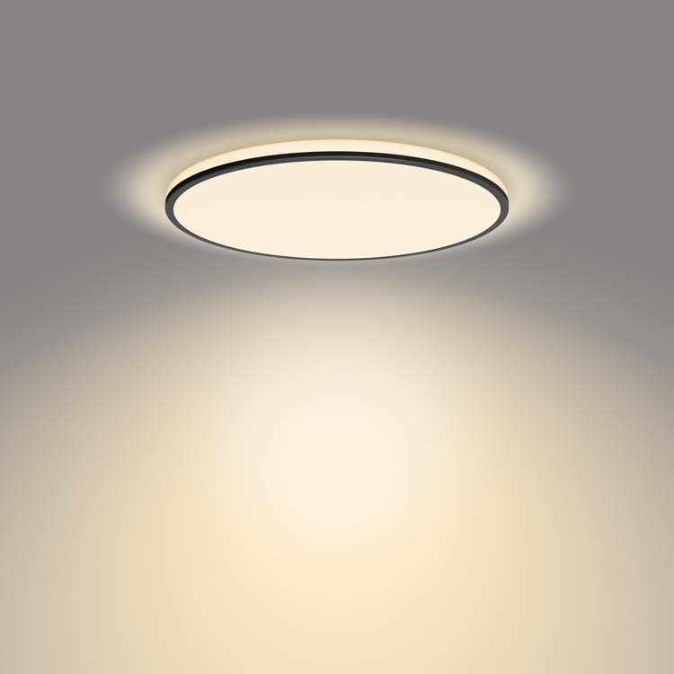 Plafondlamp Zwart 22W 2700K