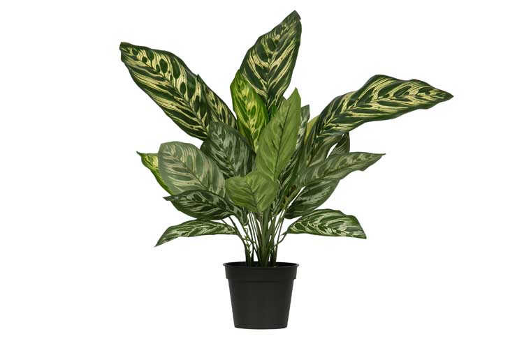 Plante artificielle Aglaonema vert 50cm