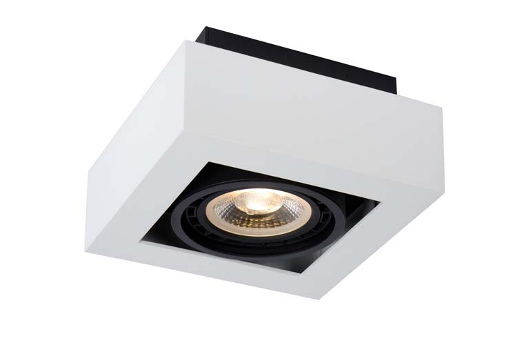 ZEFIX Spot Plafond  1x Gu10/12W DTW Blanc