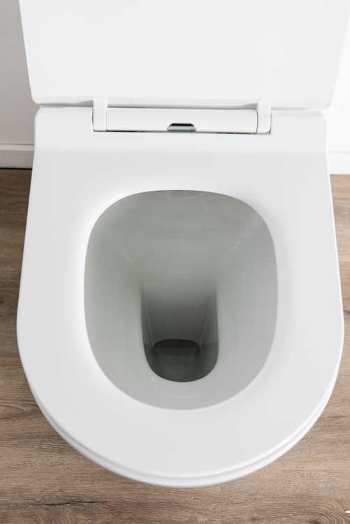 Staand toilet Gerok wit rimless met Geberit binnenwerk