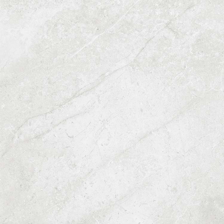 Carrelage Forte di marmi brillant gris claire 60x60