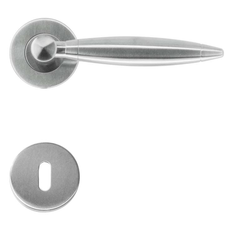 Poignée de porte salerno inox plus rosace barbe