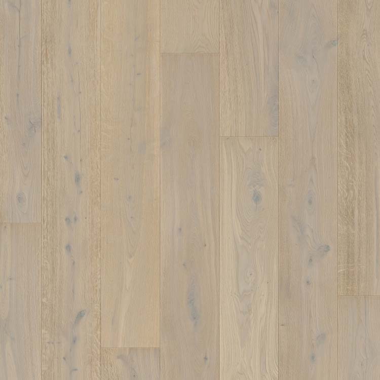 Échantillon Quick-Step parquet massimo Chêne marguerite blanc extra mat