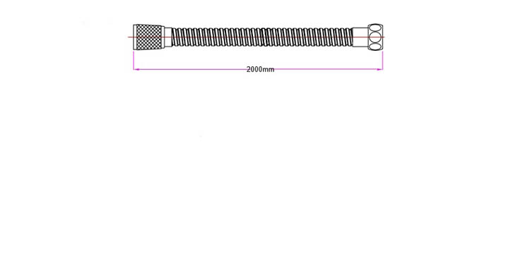 Flexible de douche 200cm inox