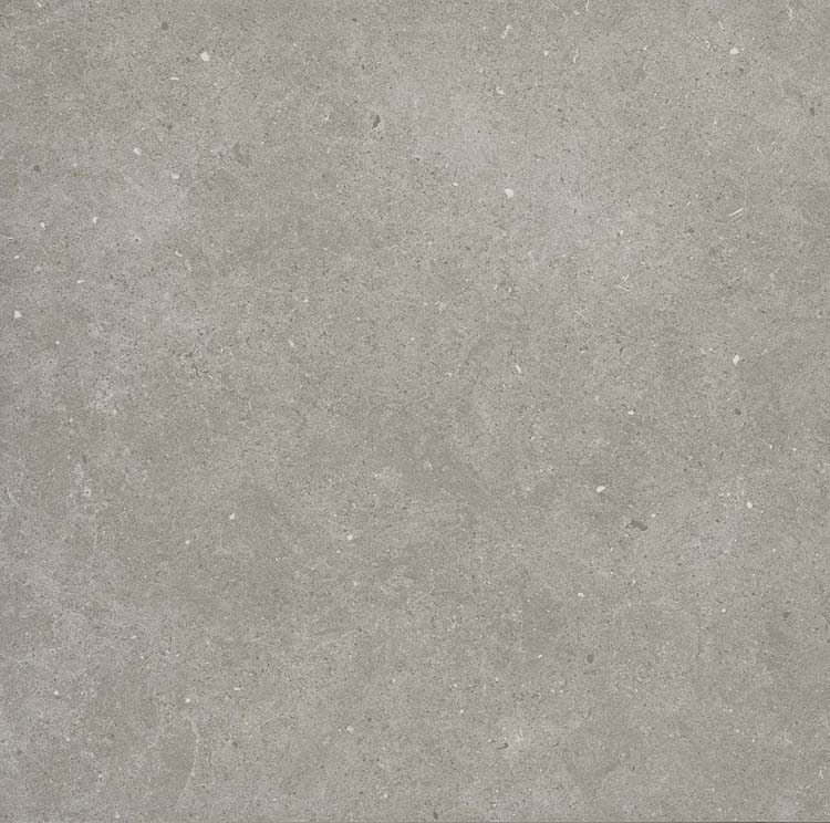 Carrelage Bovolo grey rt 60 x 60 x 0.8 cm