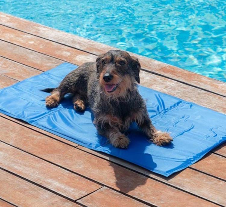 Tapis de refroidissement pour animaux 90 x 50 cm