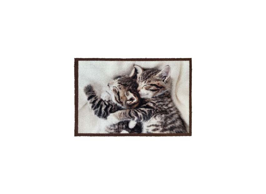 Deurmat atrium cuddle kittens 40x60cm