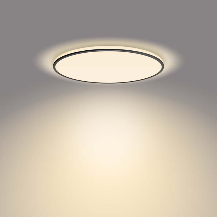 Plafondlamp Zwart 36W 2700K