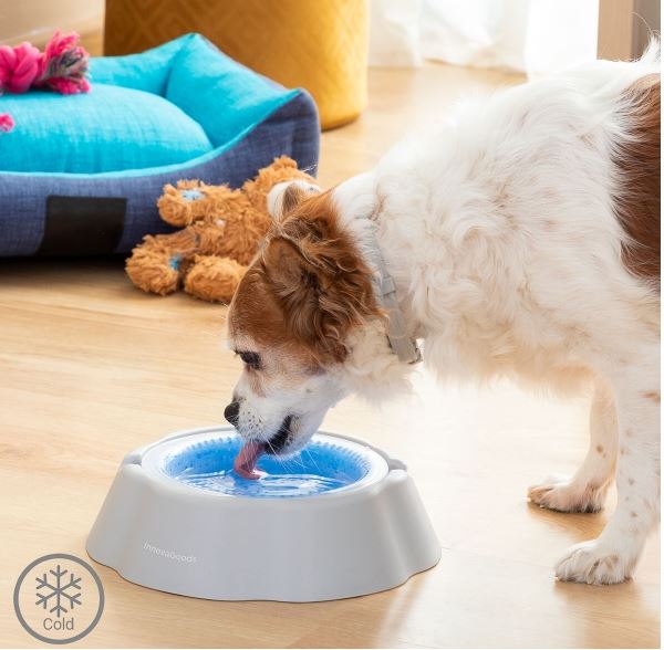 Drinkbak met koelelement voor huisdieren 450 ml