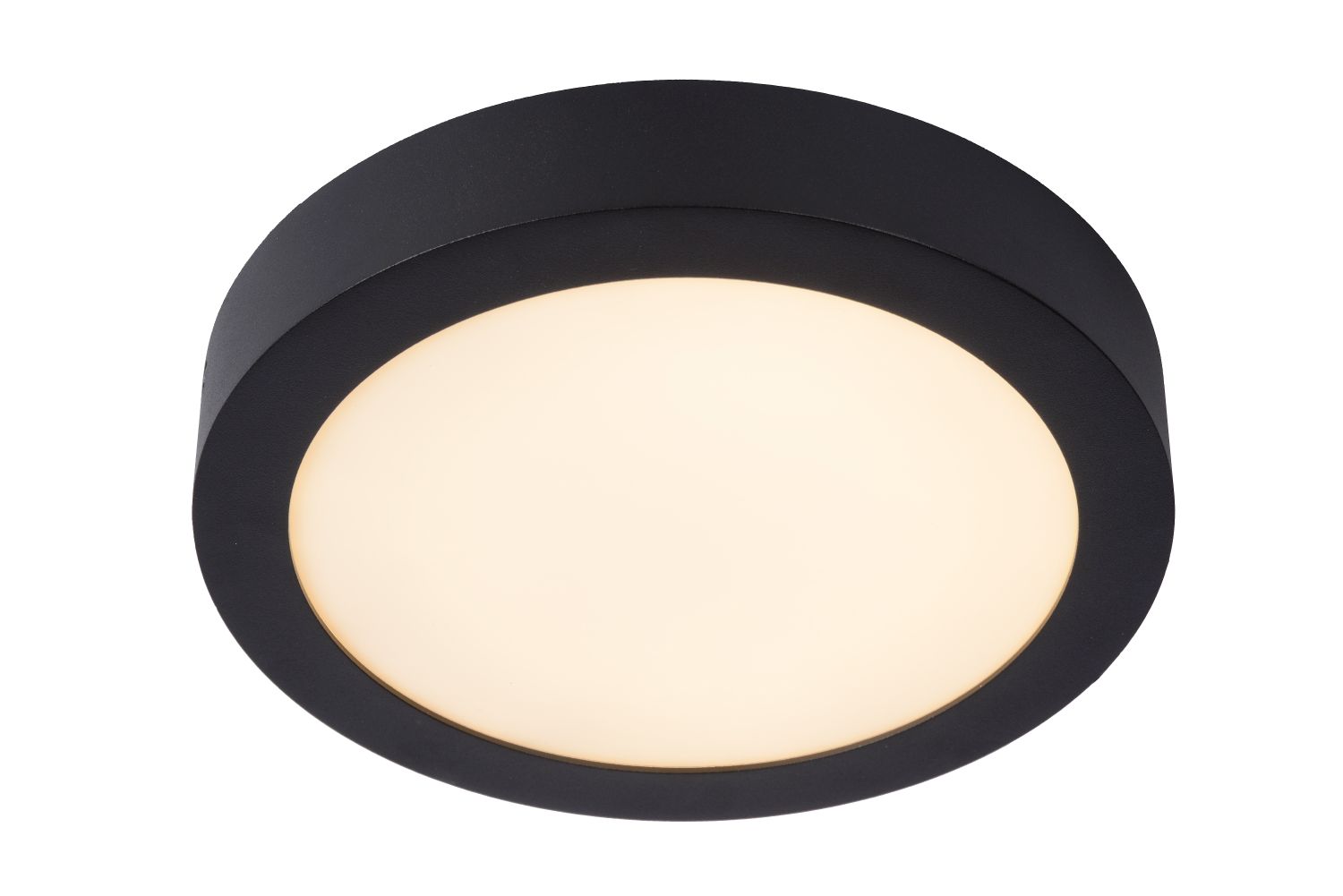 BRICE-LED Plafonnier Dimmable15W Ø23.5cm IP44 Noir