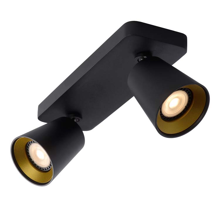 TURNON Spot Plafond  2xGU10/5W Noir / Or