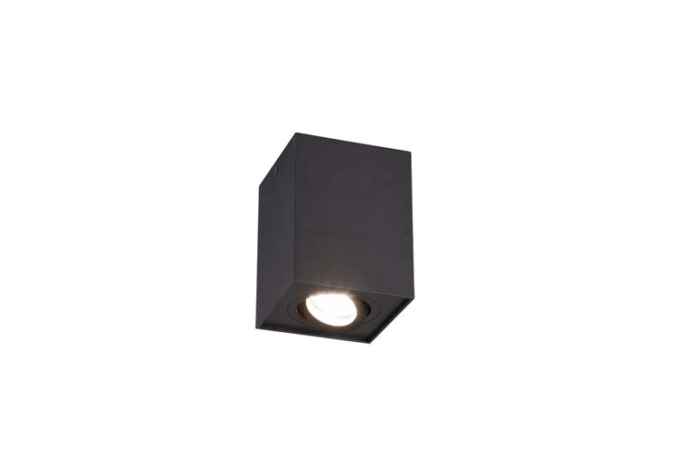 Plafonnier zwart mat excl lamp LED mogelijk 1 spot