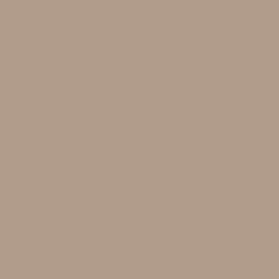 Ccarrelage mural colore Uni beige-marron mat 20x20c