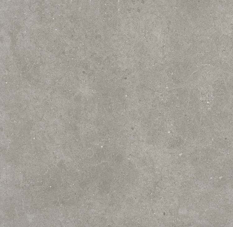 Tegel Bovolo grey rt 60 x 60 x 0.8 cm