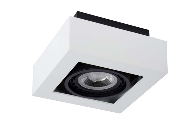 ZEFIX Spot Plafond  1x Gu10/12W DTW Blanc