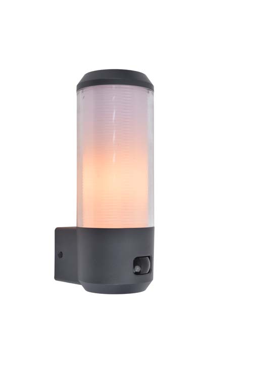 Buitenverlichting wandlamp donkergrijs sensor