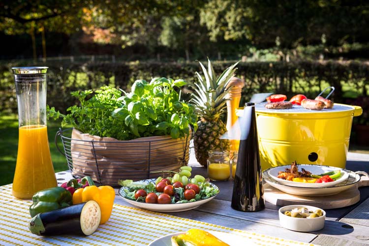 Répulsif contre les mouches pour la table à mange~