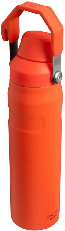 Stanley iceflow water bottle fast flow 0.6l plum