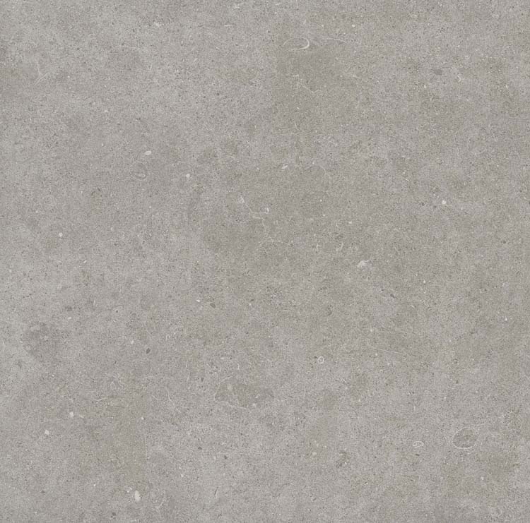 Carrelage Bovolo grey rt 60 x 60 x 0.8 cm