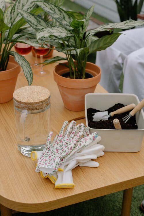 Tuintafel met planten en werkhandschoenen