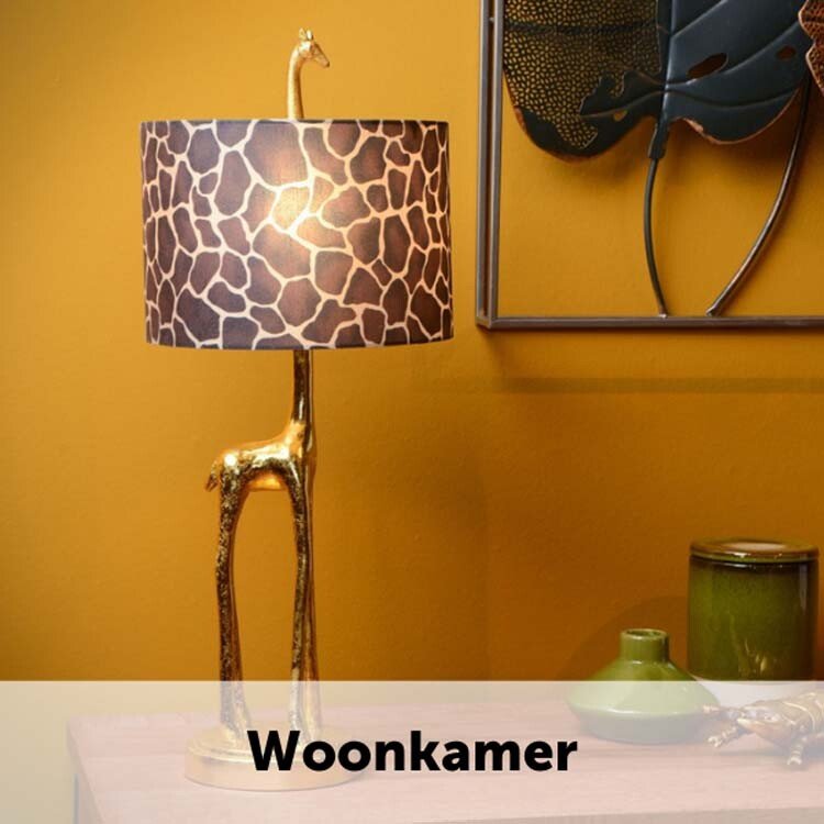 Verlichting voor woonkamer